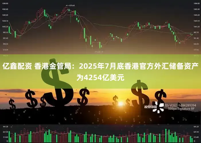 亿鑫配资 香港金管局：2025年7月底香港官方外汇储备资产为4254亿美元