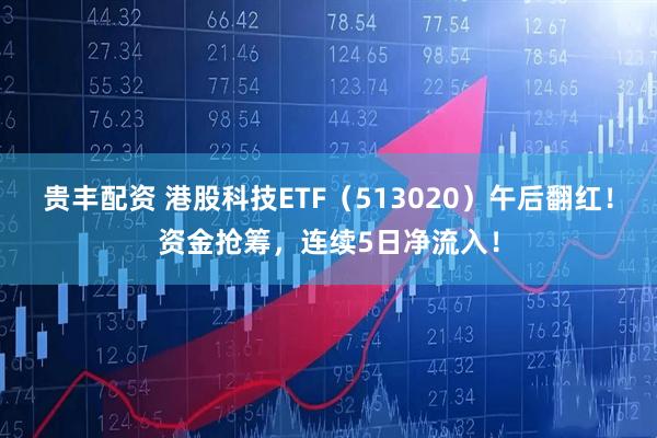 贵丰配资 港股科技ETF（513020）午后翻红！资金抢筹，连续5日净流入！