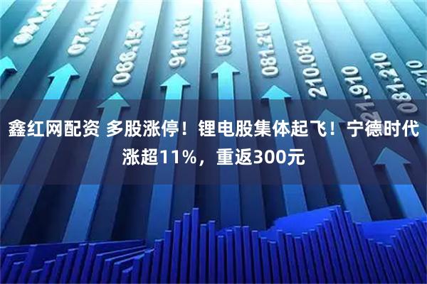 鑫红网配资 多股涨停！锂电股集体起飞！宁德时代涨超11%，重返300元