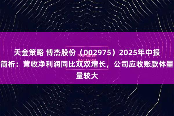 天金策略 博杰股份（002975）2025年中报财务简析：营收净利润同比双双增长，公司应收账款体量较大