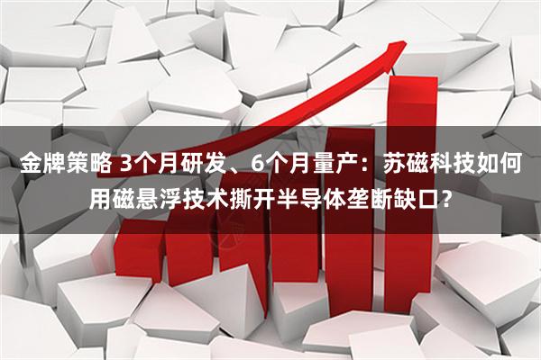 金牌策略 3个月研发、6个月量产：苏磁科技如何用磁悬浮技术撕开半导体垄断缺口？